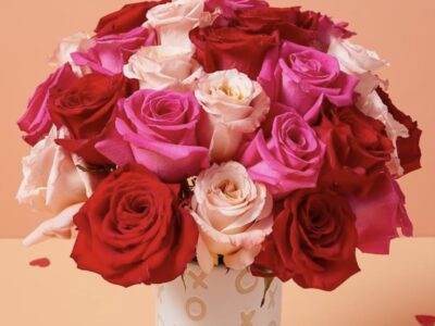 Pink Red Roses